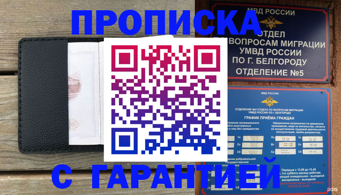 временная регистрация для всех в Фрязино
